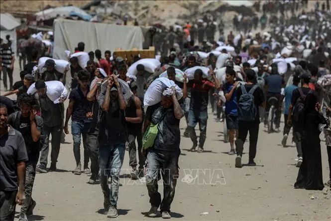 Đài PTTH Hà Nội